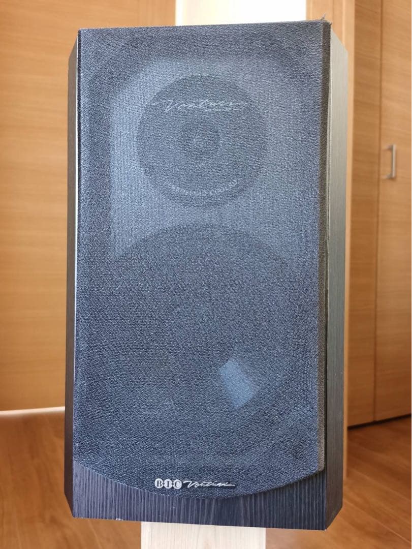 DV62si 中古2本セット BIC America(ビックアメリカ) ／ DV62si (パッシブスピーカー) 2本