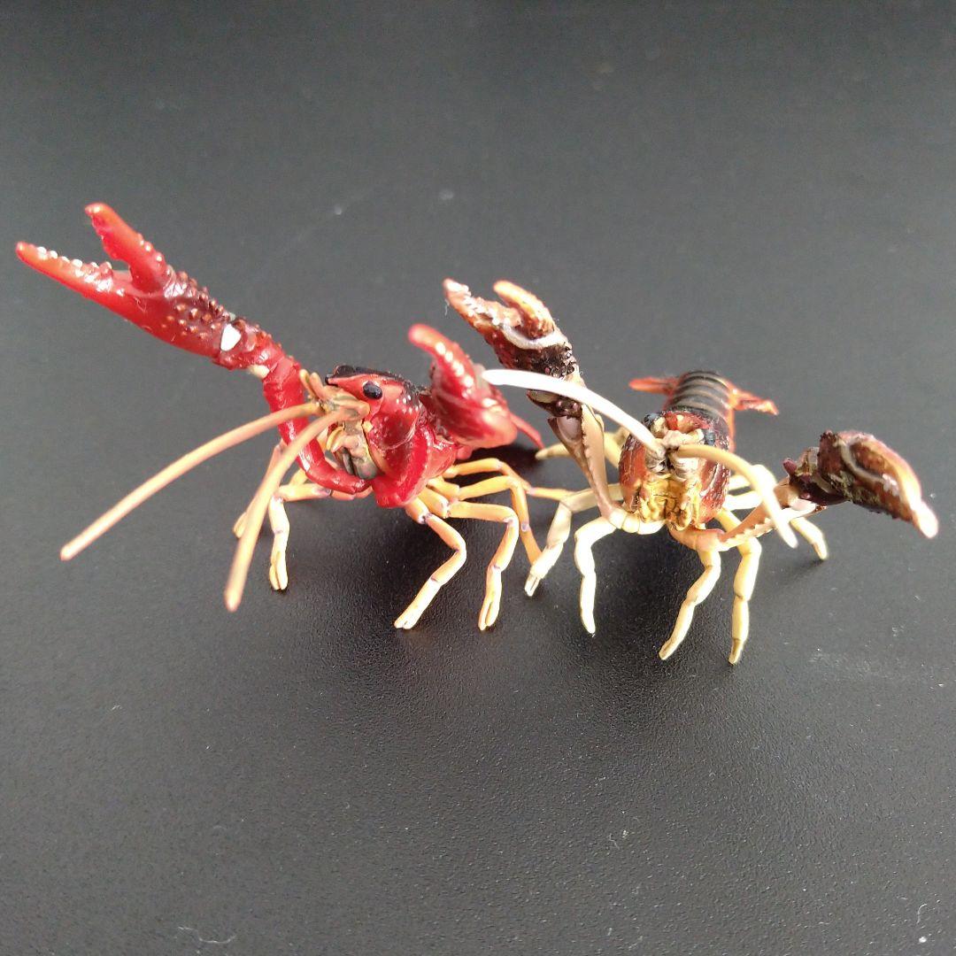 チョコQ第8弾「アメリカザリガニ」 原色甲殻類エビ・カニ図鑑