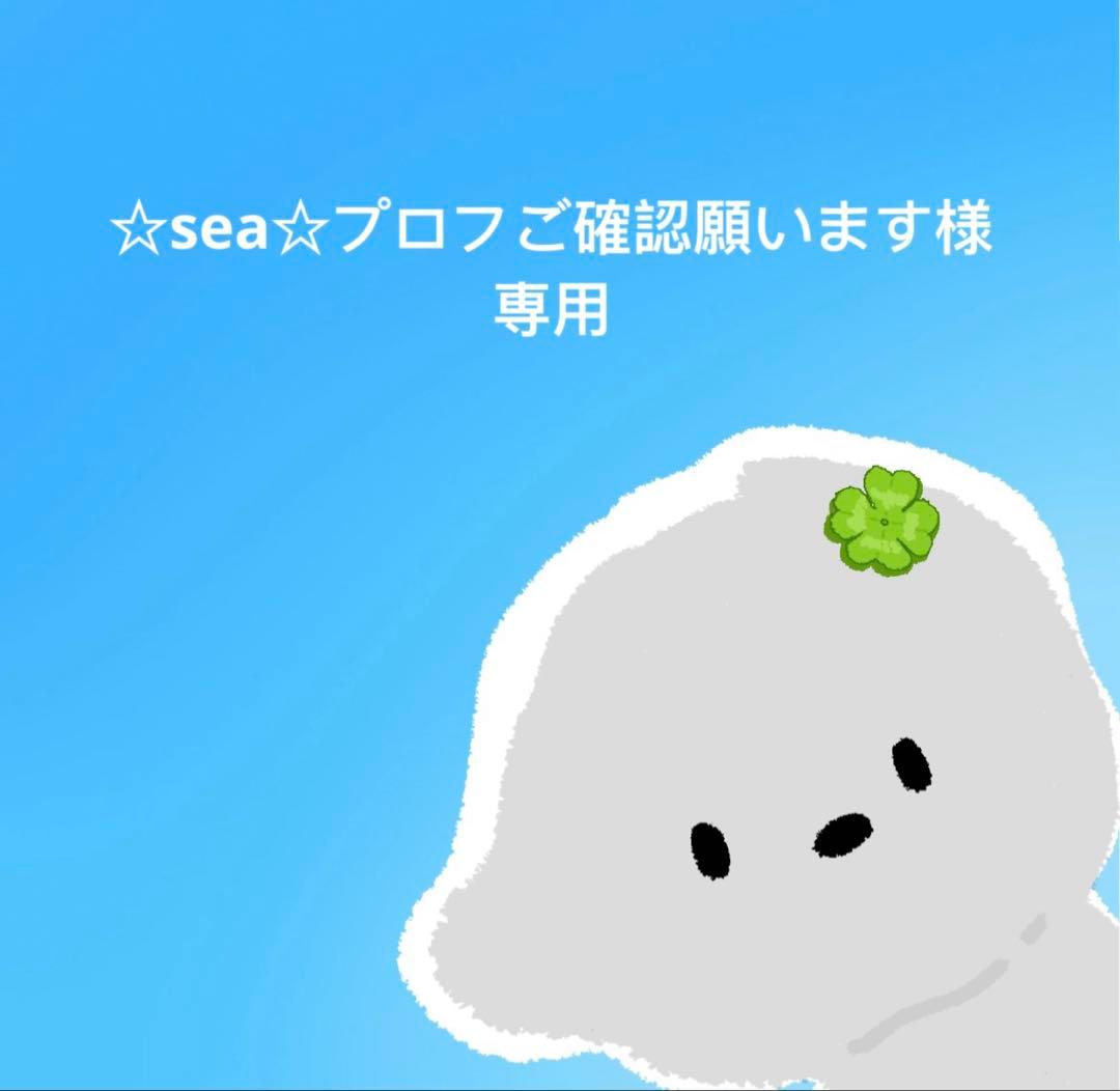 ☆sea☆プロフご確認願います 海〜 〖プロフ確認お願いします〗様専用 - メルカリ