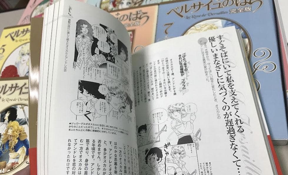 送料無料 ベルサイユのばら完全版 全9巻 大事典 その謎と真実 計11冊