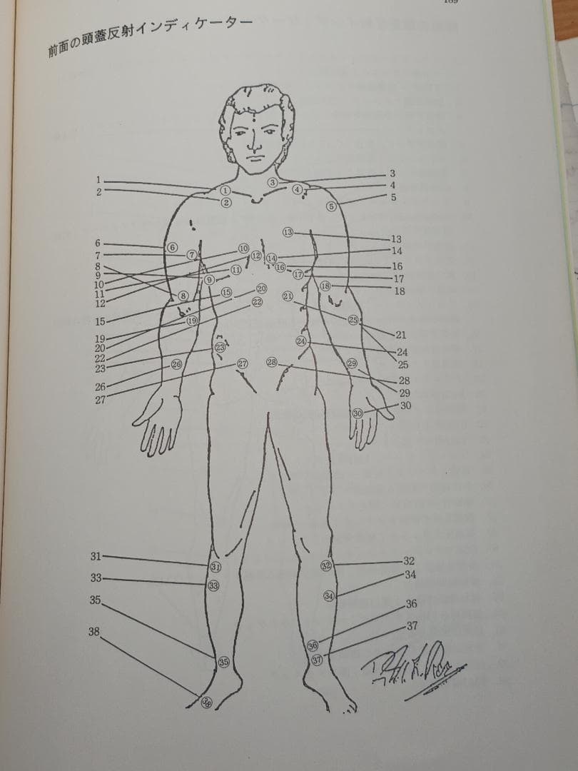 SOT 頭蓋骨治療 クラニアル・スタディガイド Dr.DeJarnetteの通販はau