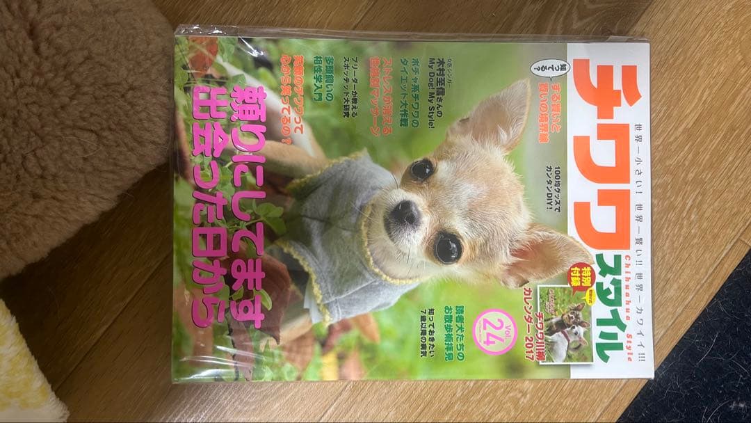 週末限定セール！】チワワスタイルシリーズ 全33冊セット - メルカリ