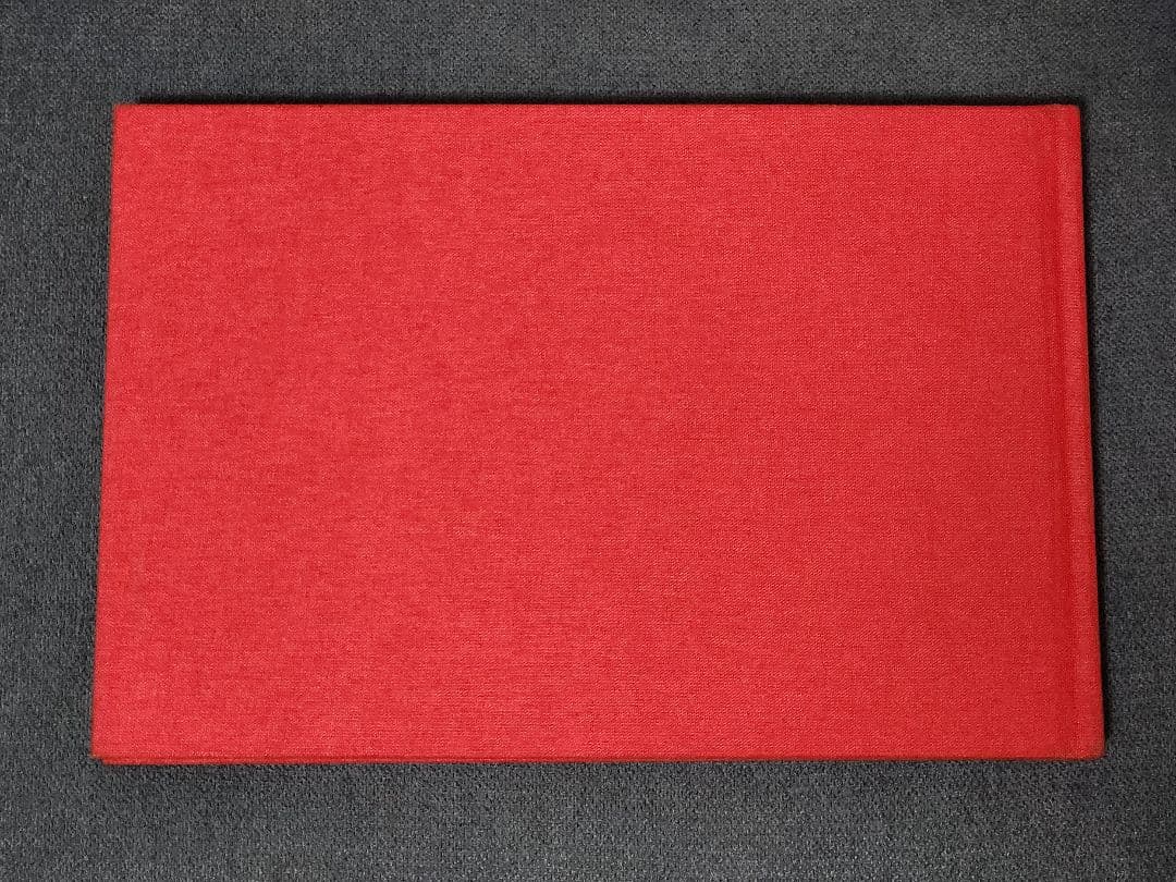 【500部限定】PiLのJEANNETTE LEE写真集