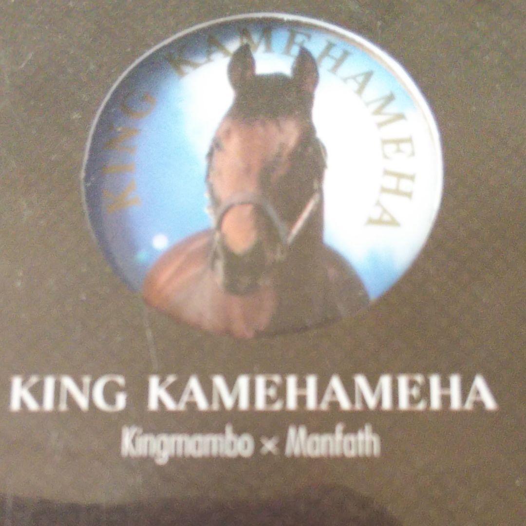 優駿 缶バッジ JRA