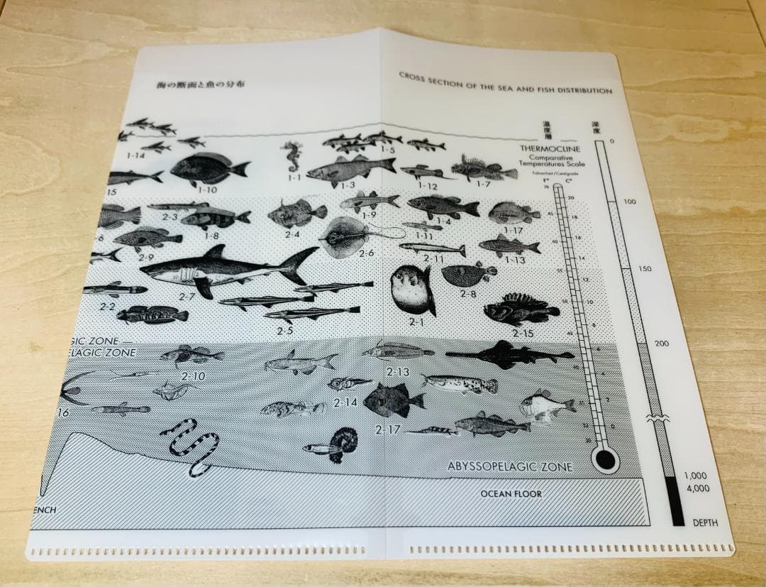 サカナクション「魚図鑑」プレミアム BOX 3CD+魚大図鑑 +特典 ベスト