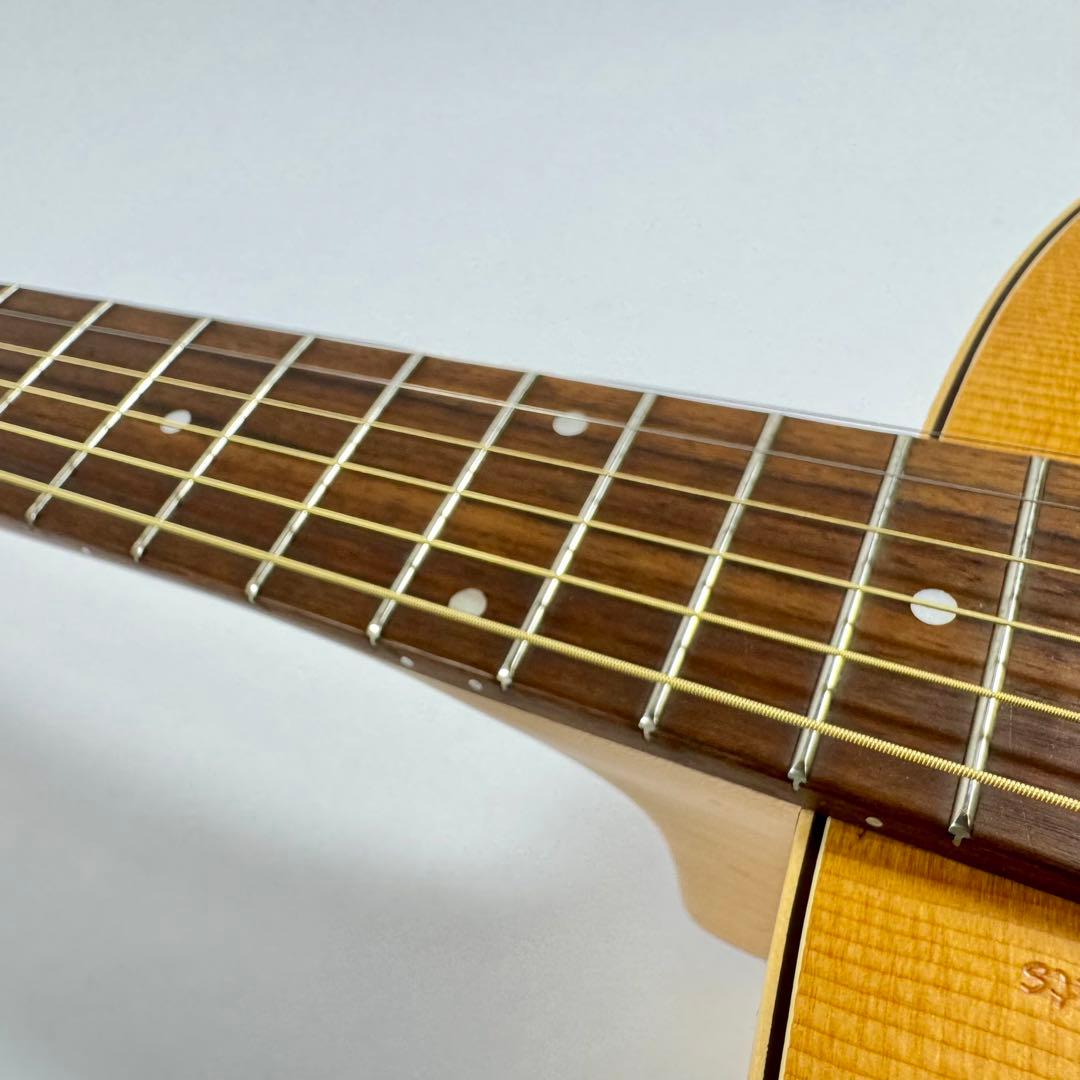 訳あり】 Seagull シーガル AT SG T35 エレアコ アコギ - メルカリ