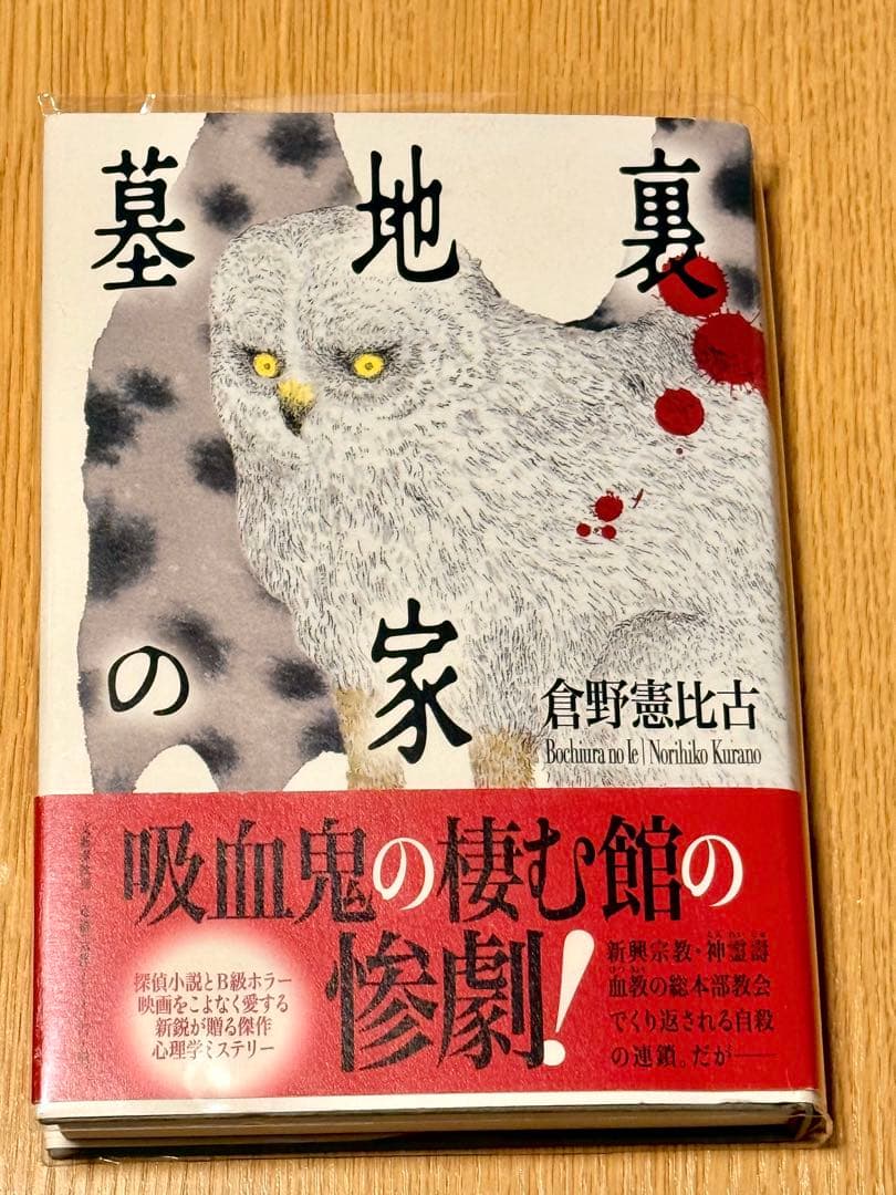 倉野憲比古「墓地裏の家」 81bSiqTunJL._AC_UF350,