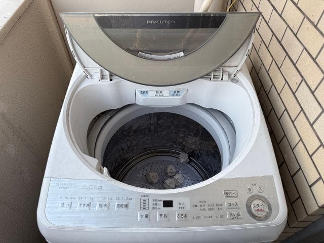 SHARP ES-GV8C 8.0kg 洗濯機 本体