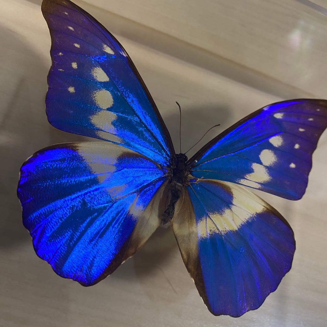 にこべー様 2点セット 専用出品 TS-58 工具セット 複合品 セット 58pcs.工具セット｜株式会社 三共