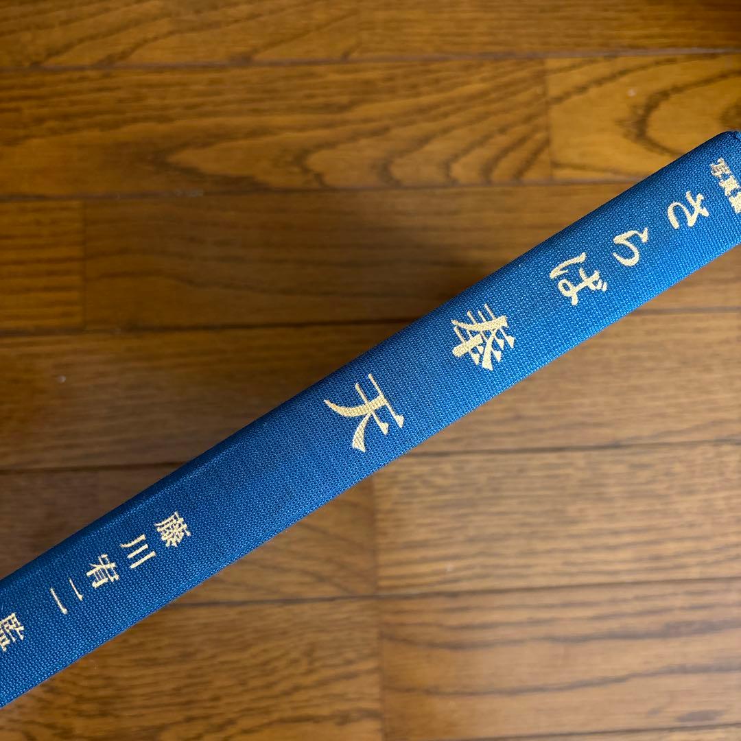 さらば奉天 藤川喜二監修 写真集