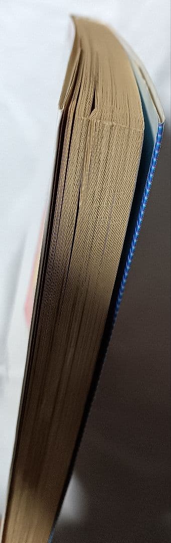 恋少女 ＊ 出井州認 (谷間夢路)