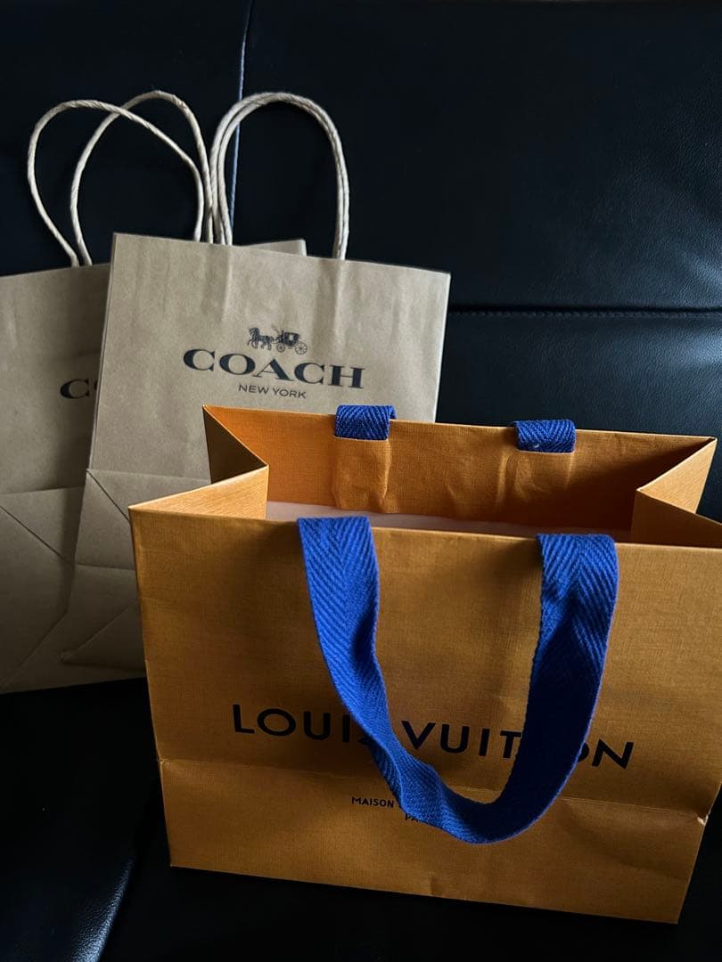 LOUIS VUITTON & COACH (２枚) ショッパー 買う気の無いいいね不要】ルイヴィトン 袋LOUISVUITTON ショッパー