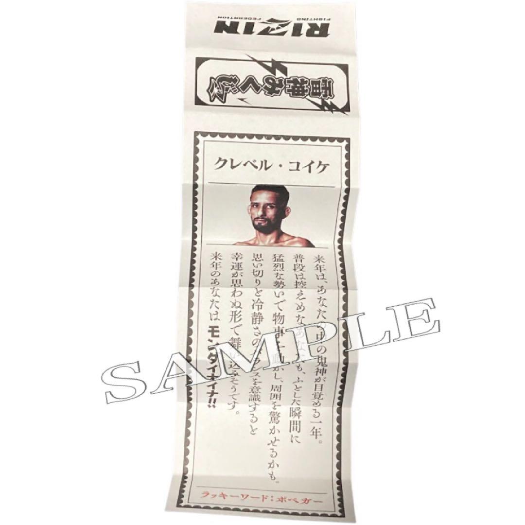 ◇おまけ多数◇ RIZIN 師走の超強者祭り パンフレット CD - メルカリ