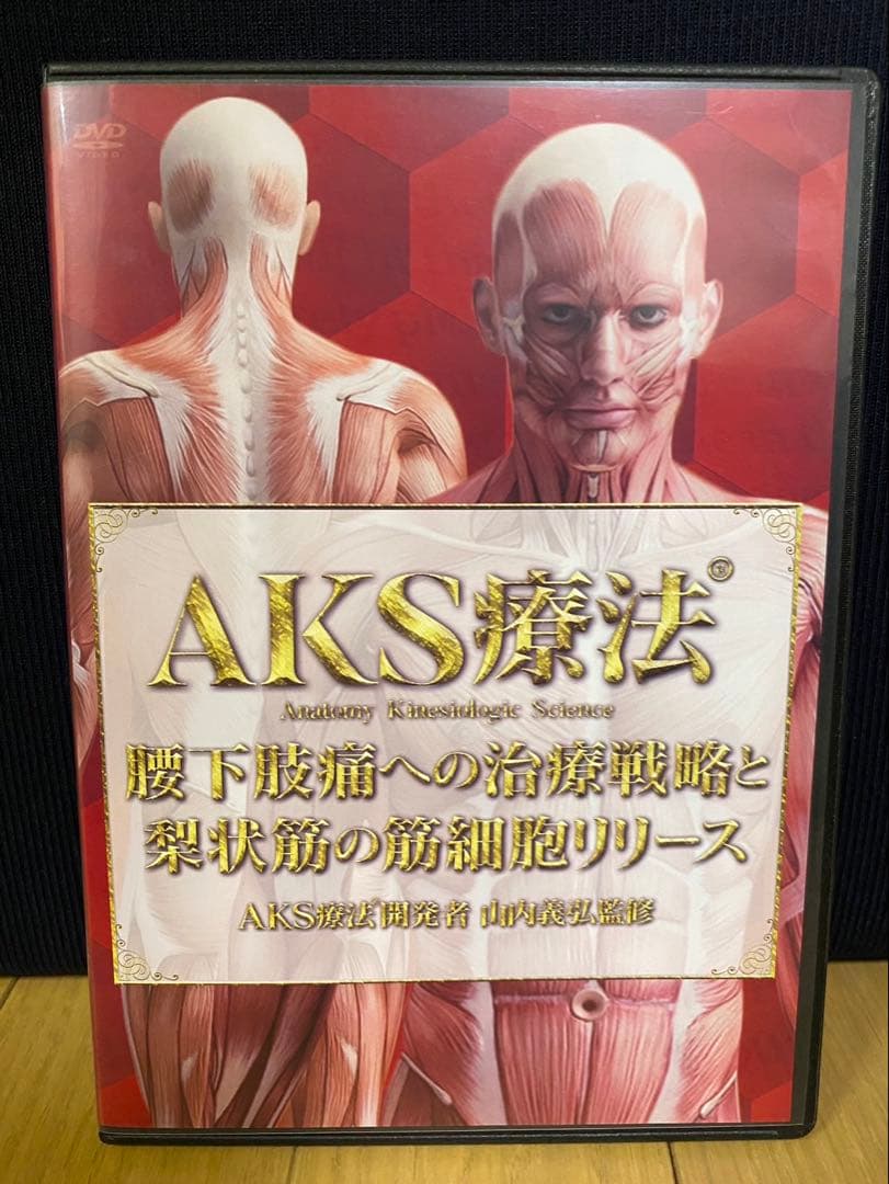 山内義弘先生のAKS療法(R) DVD7枚 シンデレラリッチセラピスト養成講座