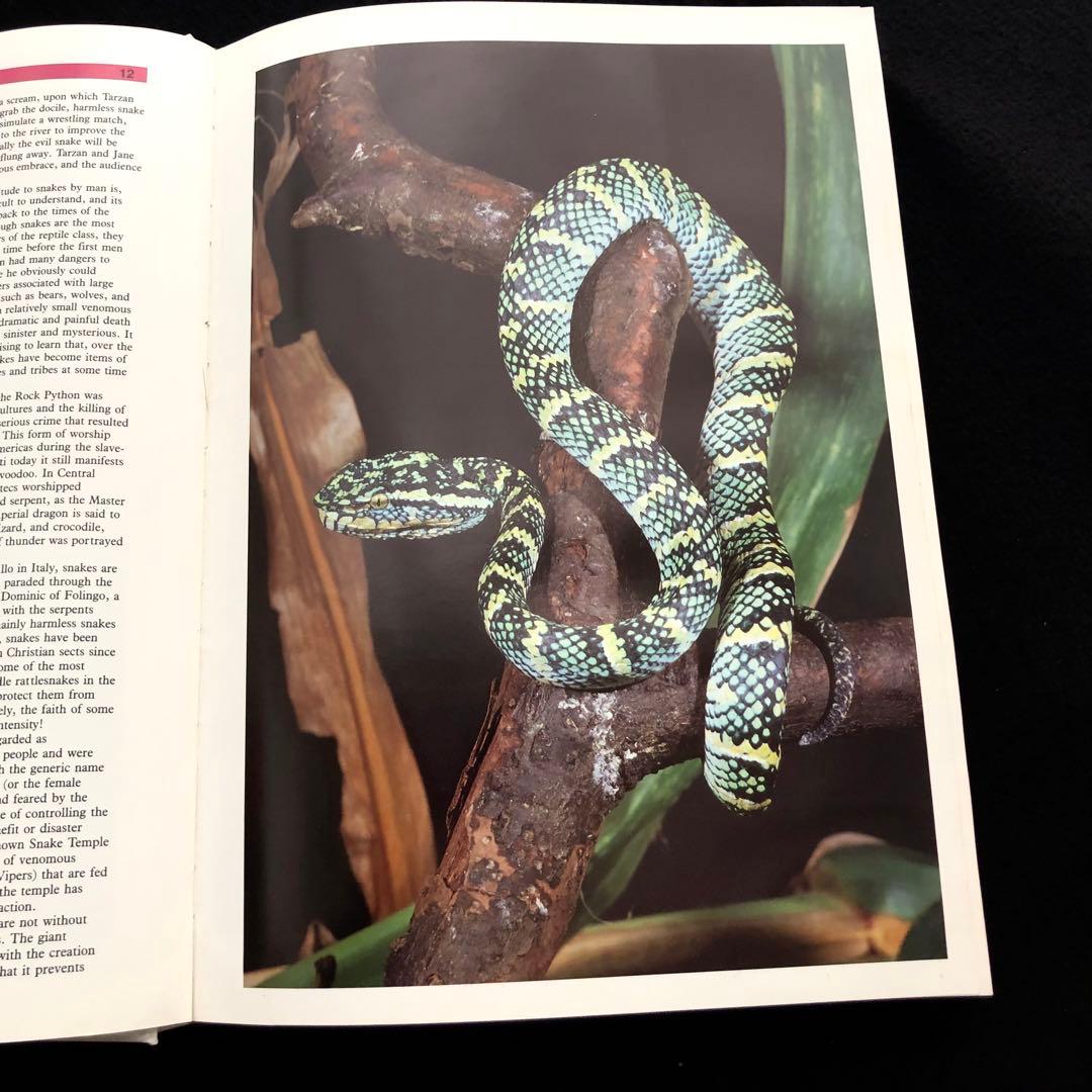 世界ヘビ図鑑「The Atlas of Snakes of the World」 - メルカリ