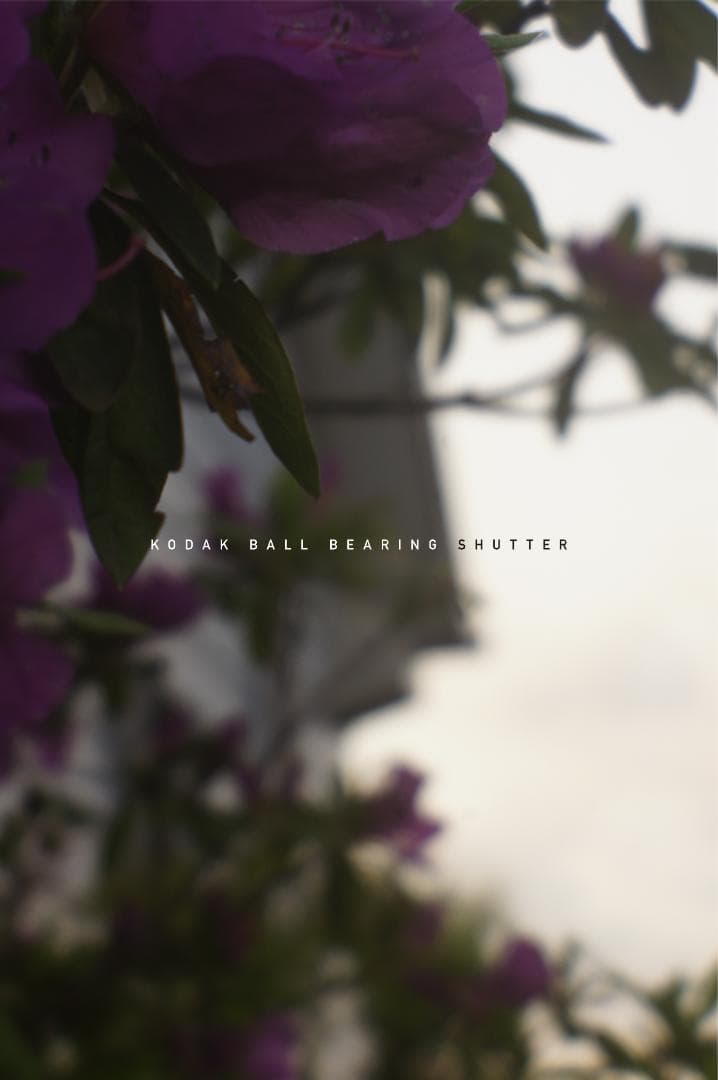 M42改造レンズ ベス単 KODAK BALL BEARING SHUTTER - メルカリ