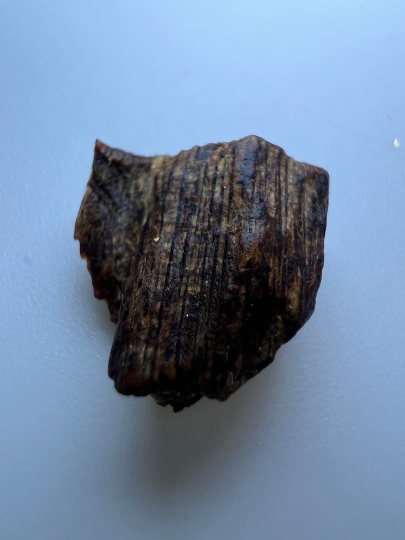 古渡命銘木 名香　當今天皇勅銘　伽羅　銘【浪の花】0.293g 香木/沈香/伽羅