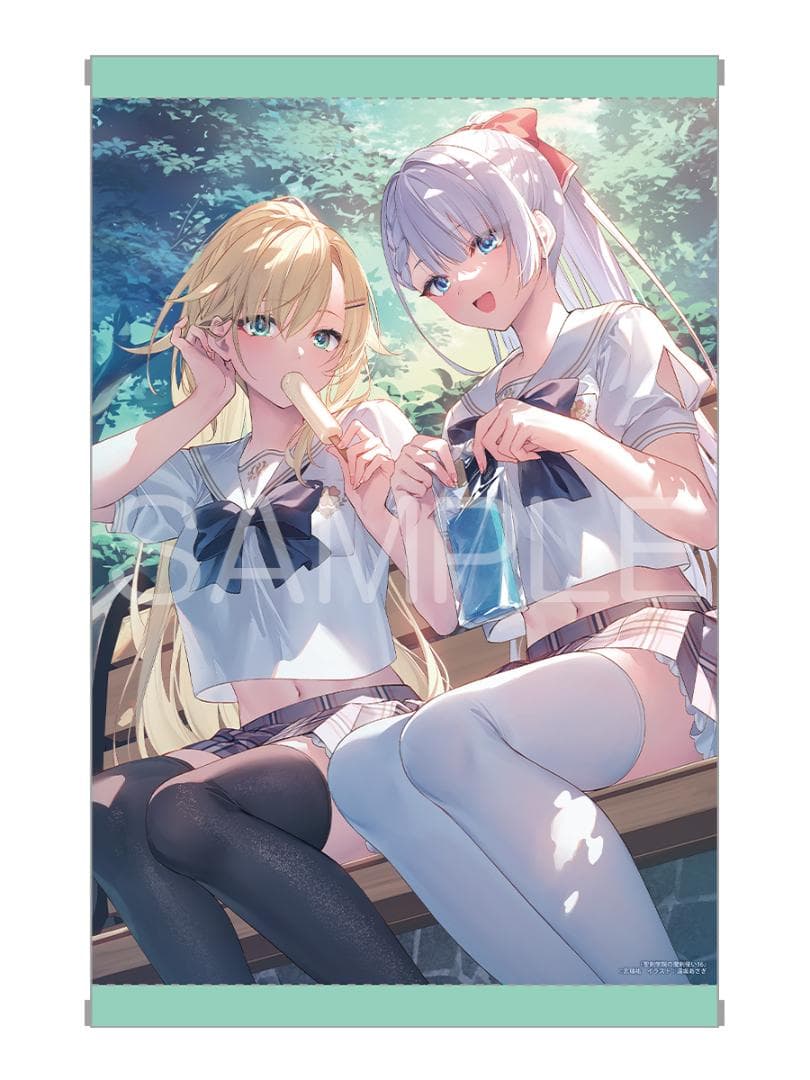 聖剣学院の魔剣使い 16 メロンブックス 限定版 有償特典 A3