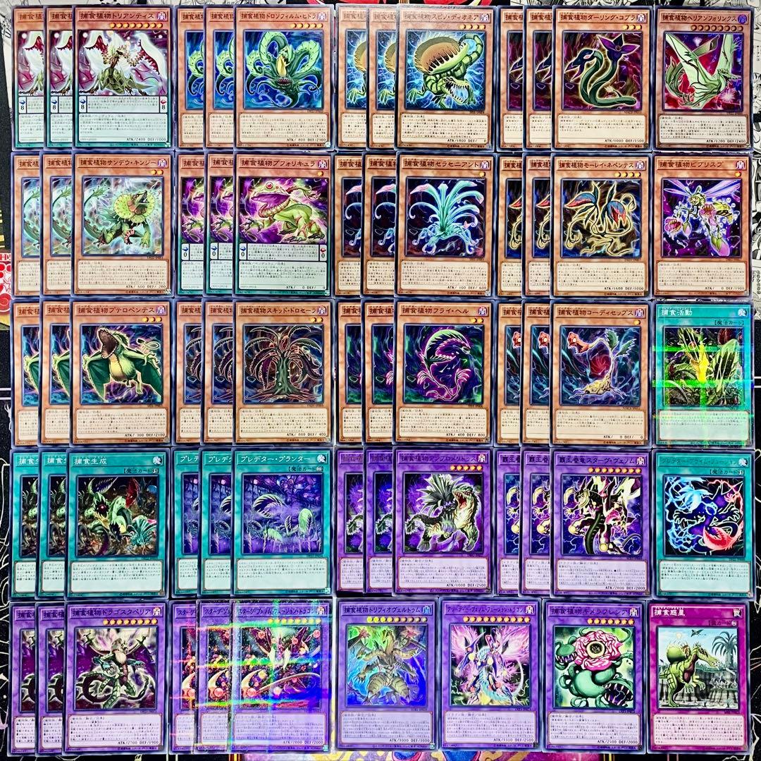 遊戯王 捕食植物 プレデタープランツ ユーリ デッキパーツ まとめ