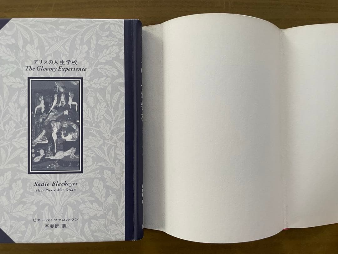 【学研】アリスの人生学校 ピエール・マッコルラン