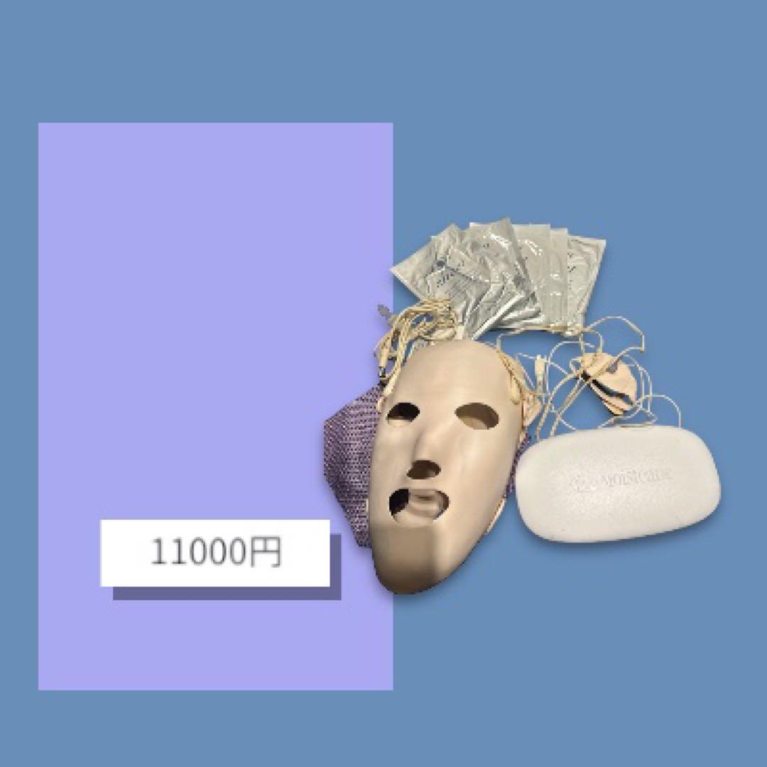 モイスティーヌⅣ スキンマスク付き LED美顔器 マスクとパック付き