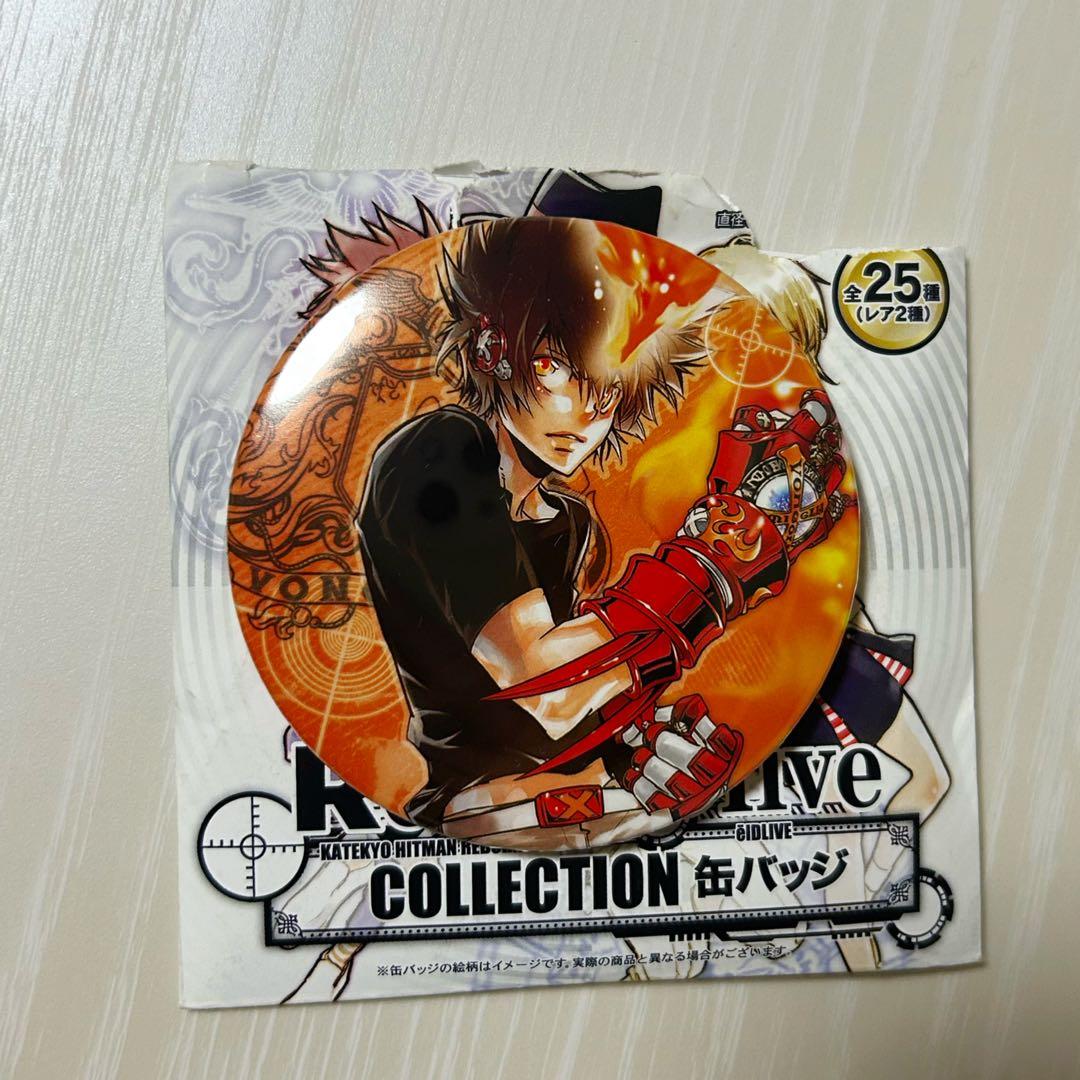 Katekyo Hitman Reborn!沢田綱吉 缶バッジ AMNIBUS-日常使いできるアニメグッズの通販サイト-