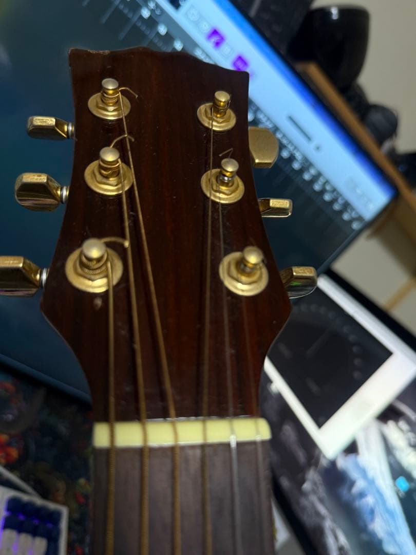 Gibson J-45 リヘッド個体？良材