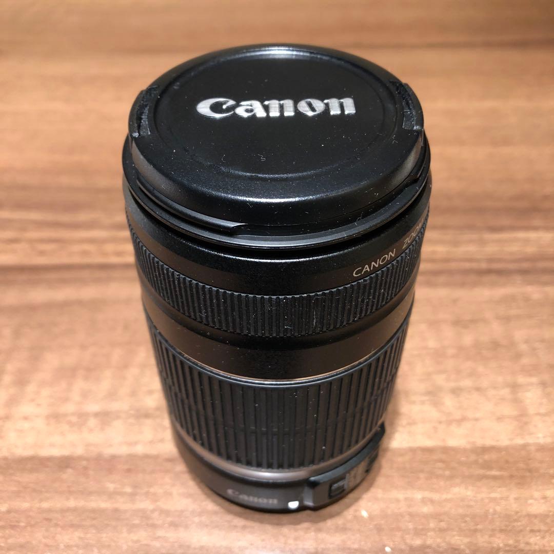 Canon EF-S55-250mm f/4-5.6 IS ズームレンズ