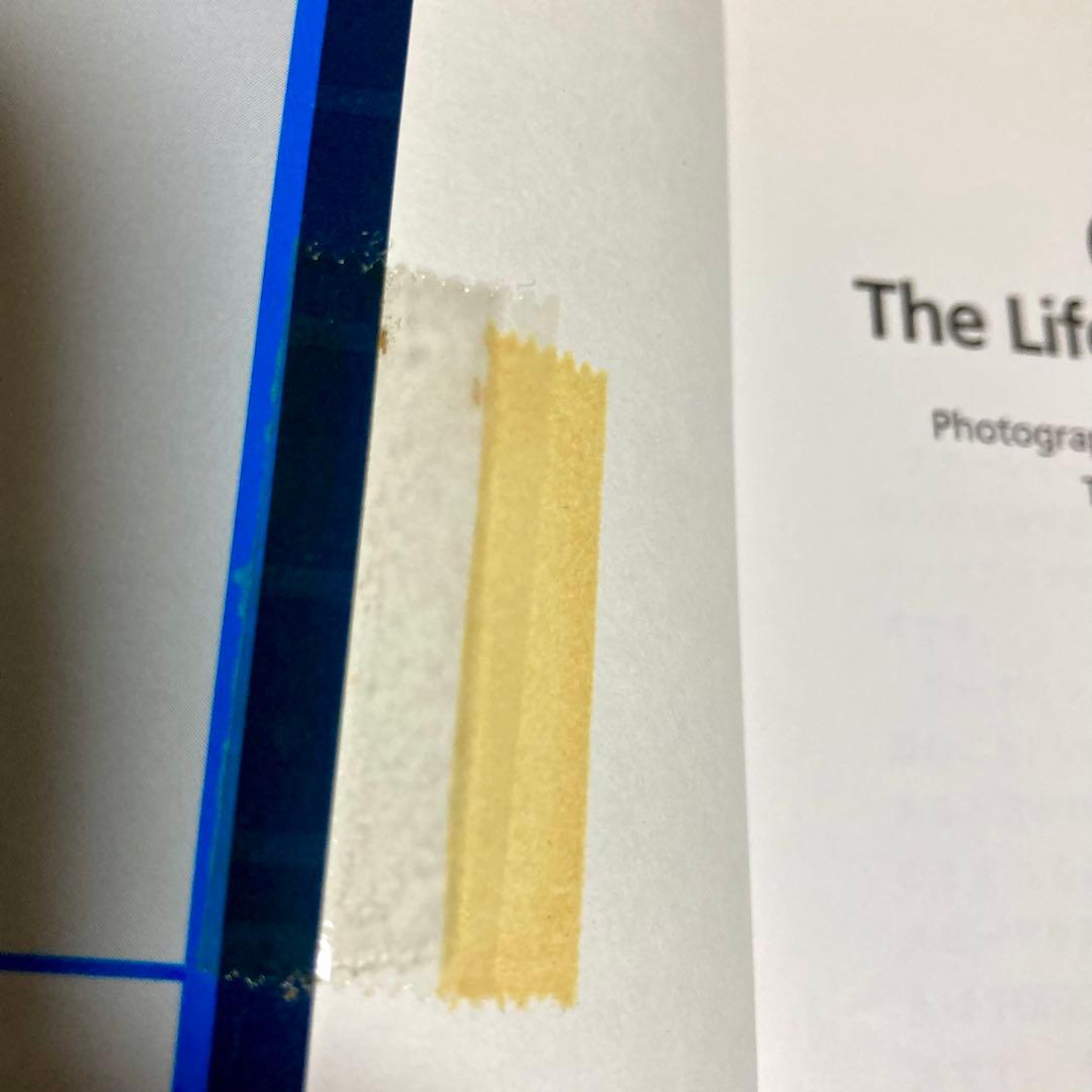 ラダーシリーズ レベル1〜5 71冊セット - メルカリ