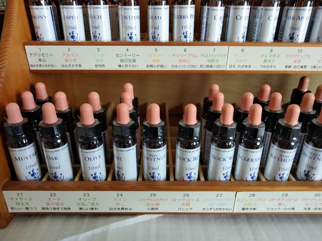 mattya様 クラブアップル エルム ゲンチアナ ミムラス マスタード