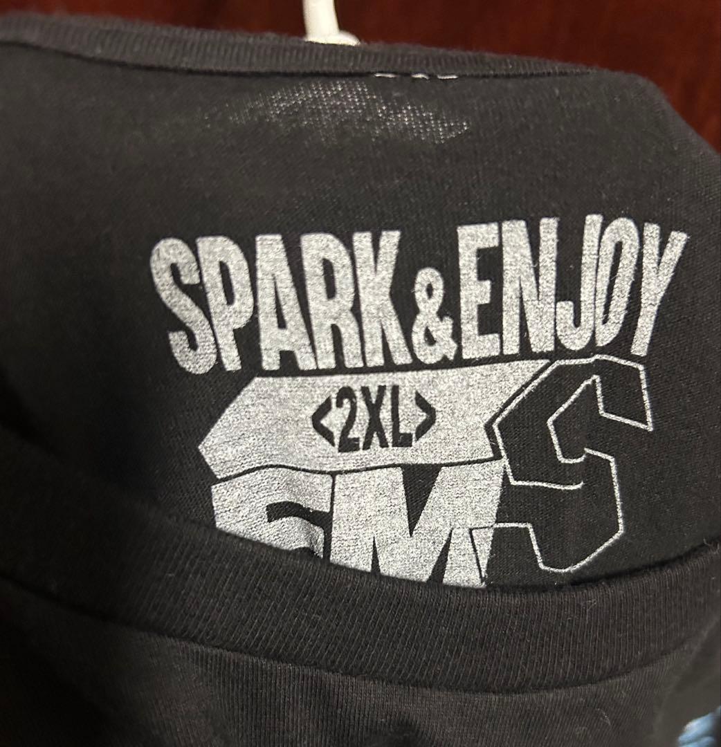 激レア!! スタイナーブラザーズ シャツ 2XLサイズ WWE WWF WCW - メルカリ