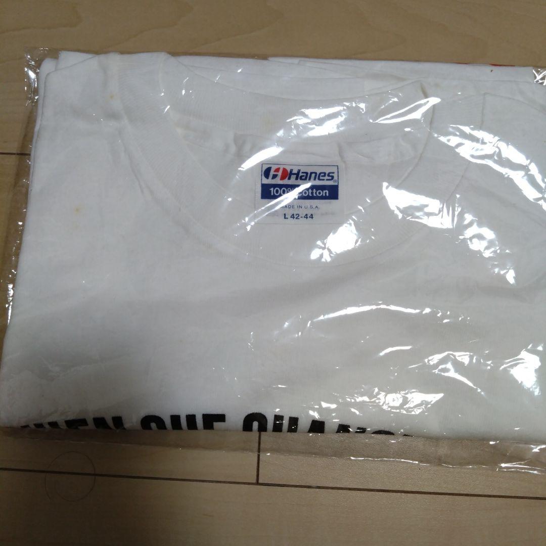 超貴重　彼女が水着にきがえたら　Tシャツ　ステッカー　パンフレット　未使用品