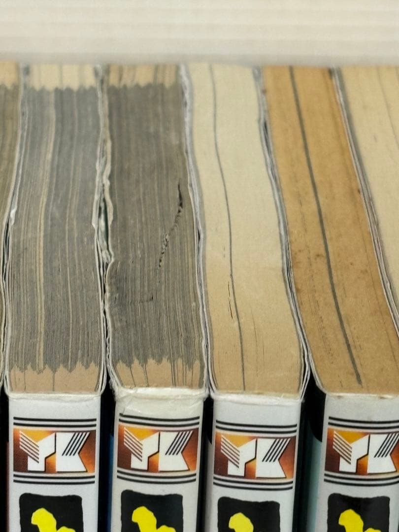 専用【U819m】《ヤケシミ巻等難あり》 東本昌平 キリン21冊まとめ売りセット