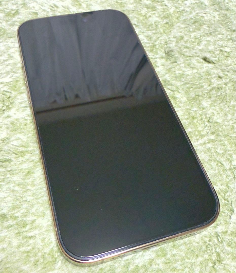 ましとです、ありがとう御座いました！　 Pro 256GB SIマケ2個付