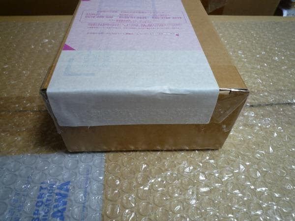 S.H.Figuarts 真骨彫製法 仮面ライダー1号 桜島Ver 栄光の昭和