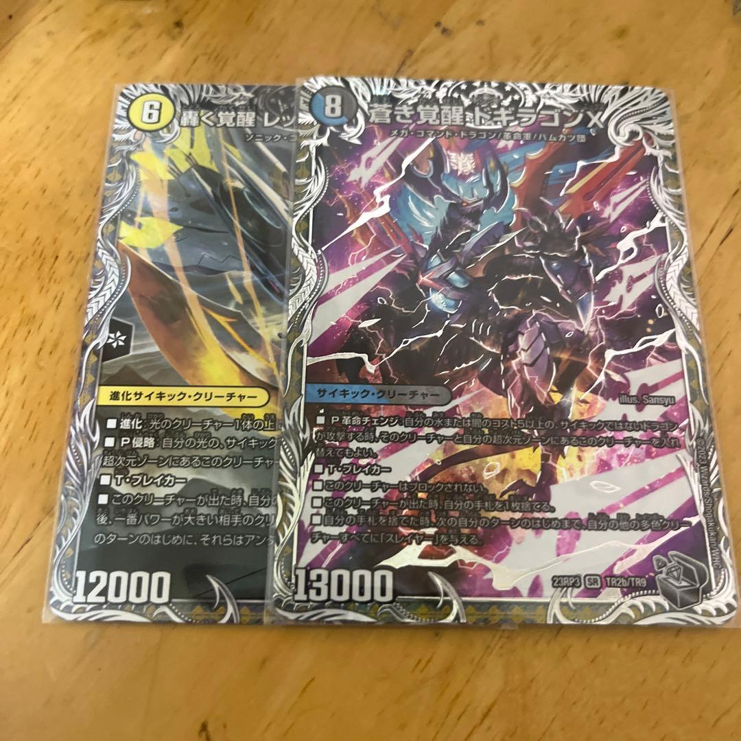 青黒卍夜ループ デッキ 本格構築 ガチ構築 零龍GR付き - メルカリ