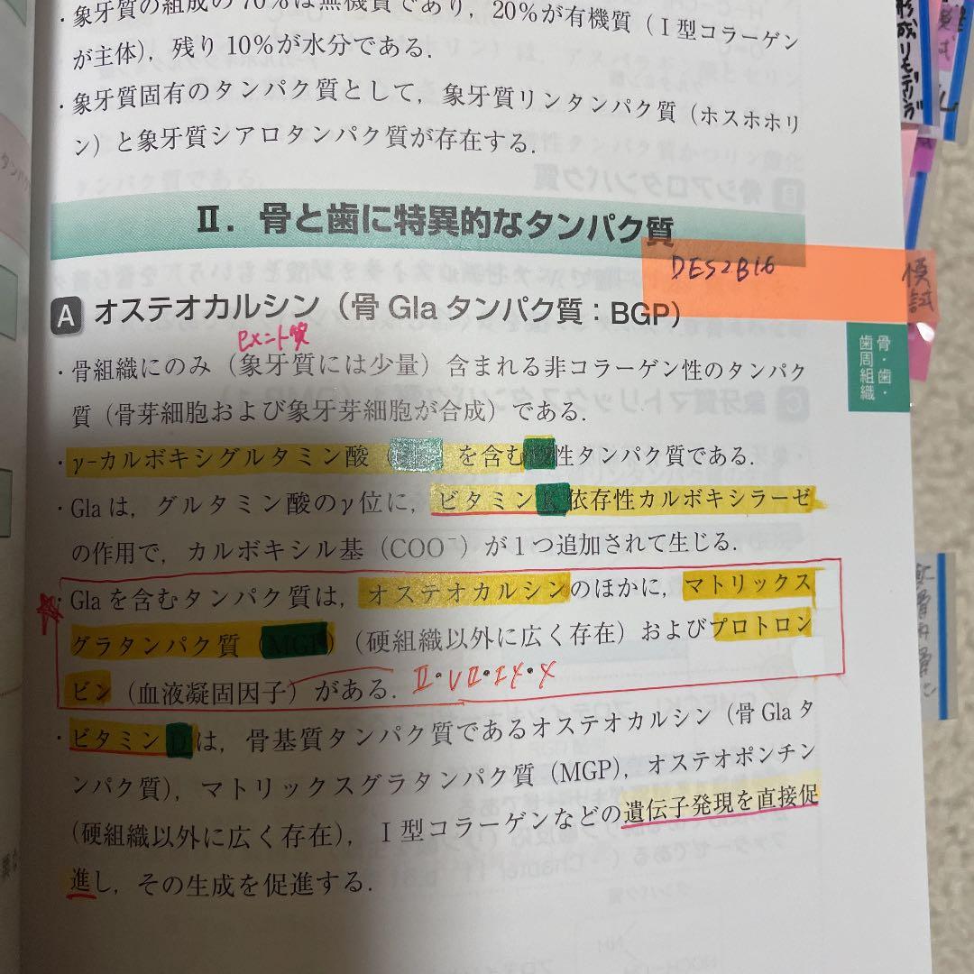 パーフェクトマスター　全て完売　3月16日