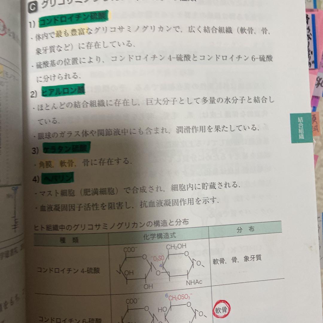 パーフェクトマスター　全て完売　3月16日