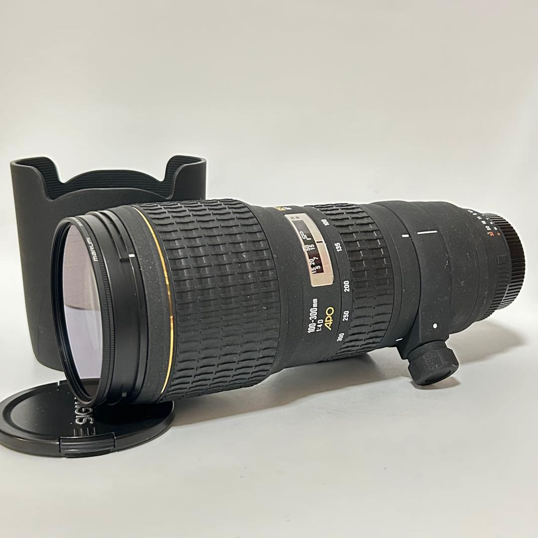 SIGMA APO 100-300mm F4 EX DG HSM ニコン Amazon.com : Sigma 100-300mm f/4 EX DG IF HSM APO Fast Aperture
