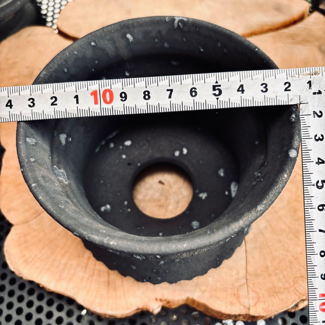 売り切り！新品未使用 菊地元野 作家鉢 アガベ パキプス グラキリス