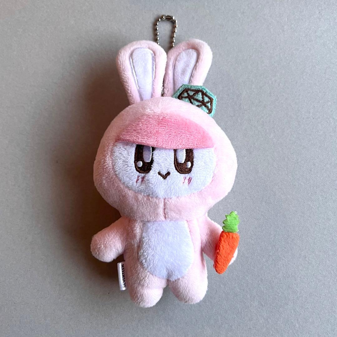 SEVENTEENセブチ ボンボンイ ぬいぐるみ 着ぐるみBONGBONG - メルカリ