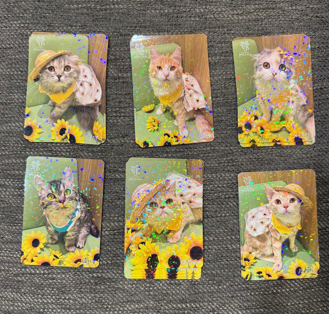 バラ売り可】にゃんずトレカ松本店 2025 - メルカリ