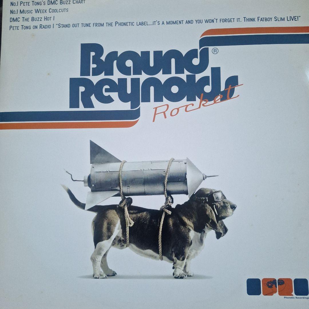 テクノ ハウス デジロック系 レコード 11枚セット