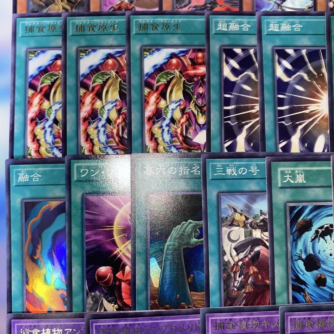 2192】遊戯王 捕食植物デッキ プレデタープランツcs優勝構築超逸融合