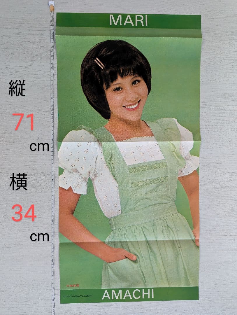 【天地真理】1973『 ヤングアイドルナウ VOL.2 晩秋号』中古品※特典付