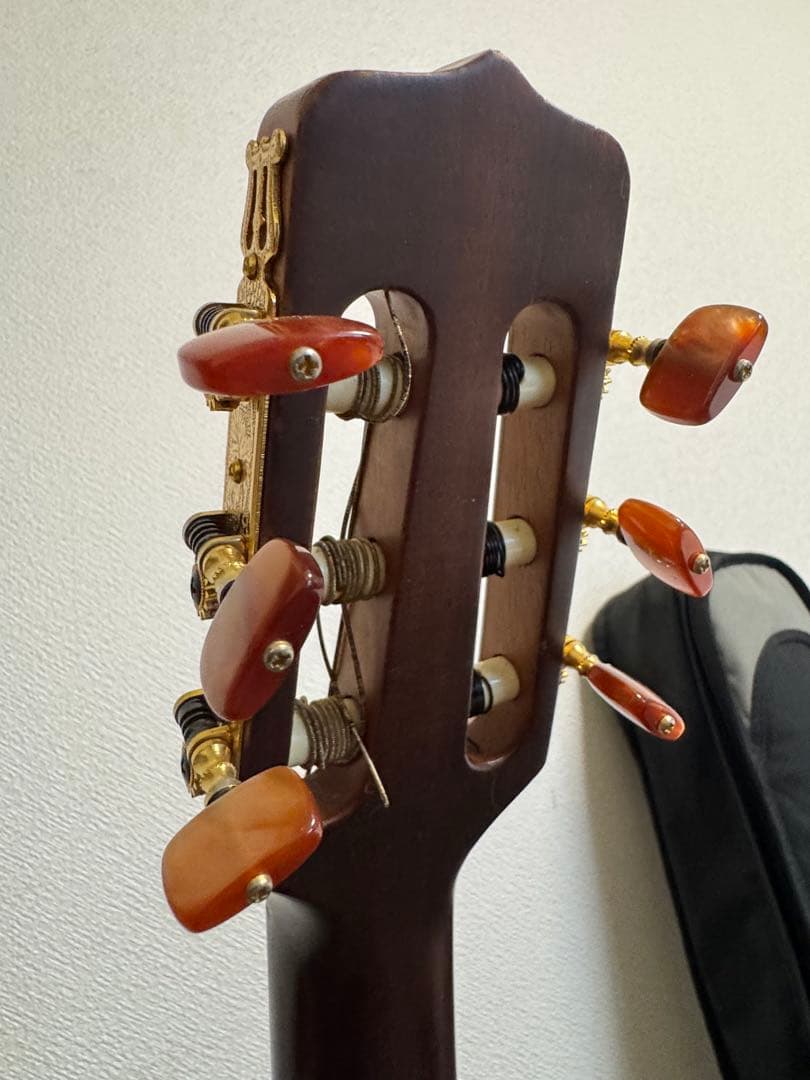 Takamine型番NTP110N LH 左利き用 Takamine型番NTP110N LH 左利き用