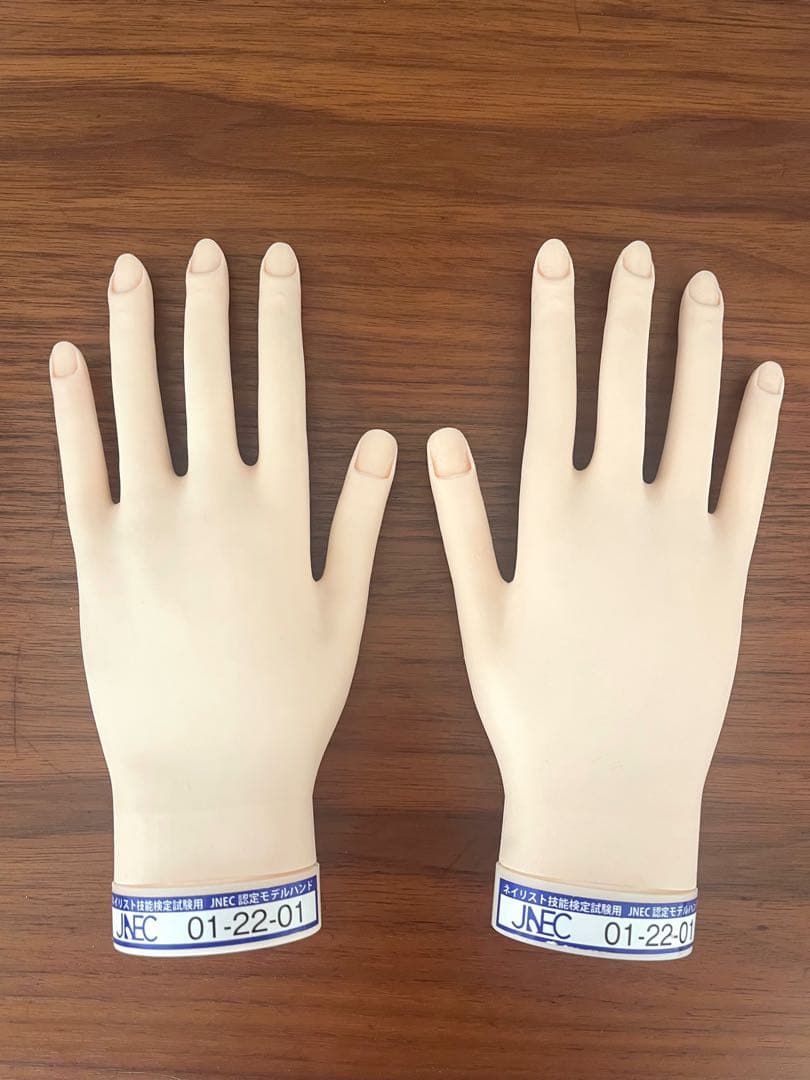 JNEC 認定モデルハンド両手セット　検定チップ付き STモデルハンド /両手セット（JNEC 第1期認定モデルハンド