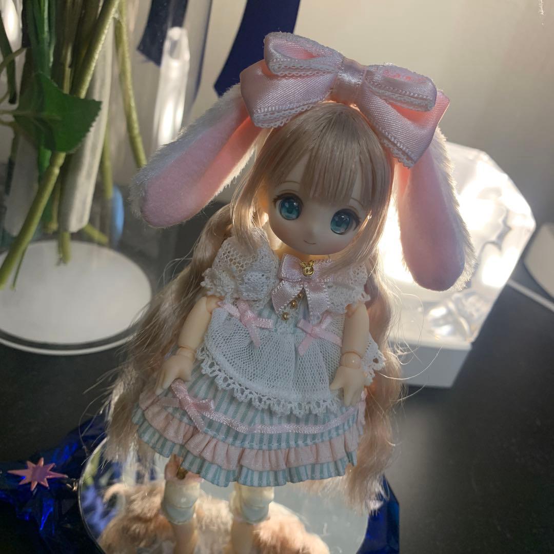 シュガーカップス ビスケティーナ アゾンダイレクトストア限定販売