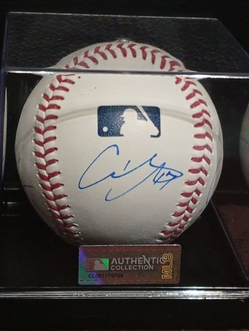 ケース付き！LA 大谷翔平 佐々木朗希 山本由伸 直筆サインボール MLB