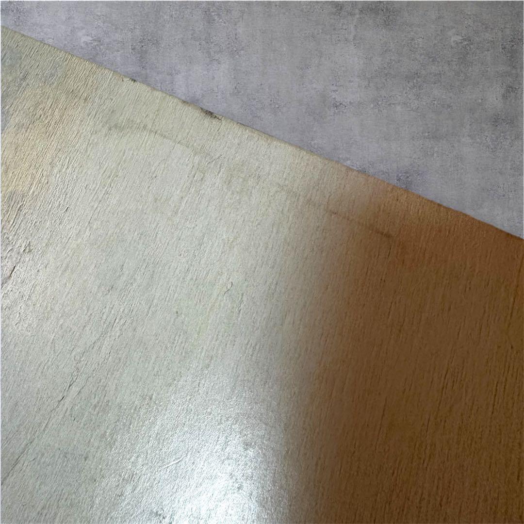 THE BLUE HEARTS ブルーハーツ1989ツアーブックLPサイズ当時物 - メルカリ